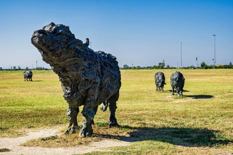 Buffalo sculptures in Parco Papa Giovanni