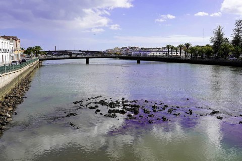 Harbour of Tavira
