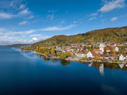 Aerial view of the village of Sipplingen on Lake Constance with autumn vegetation
