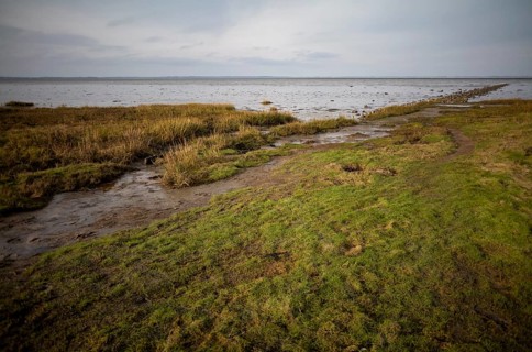 Mudflats at low tide