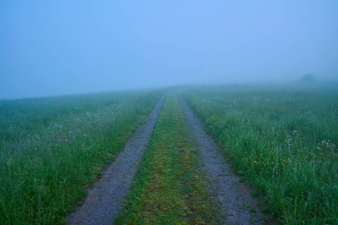 Path