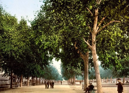 The promenade