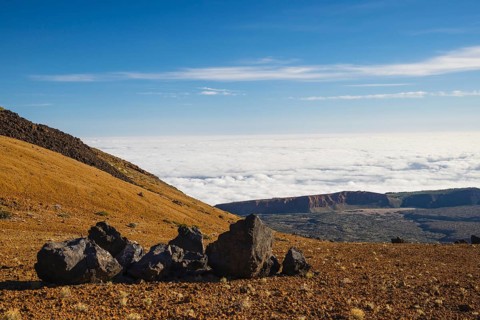 Huevos del Teide