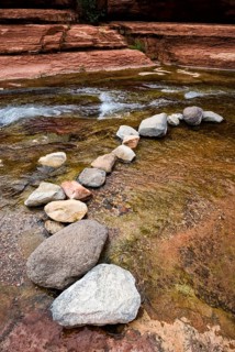 Art with natural objects