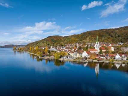 Aerial view of the village of Sipplingen on Lake Constance with autumn vegetation