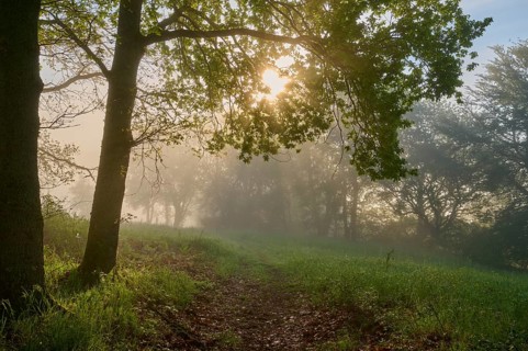 Hiking trail