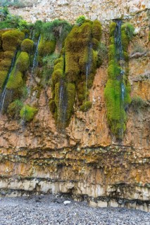 The weeping rock