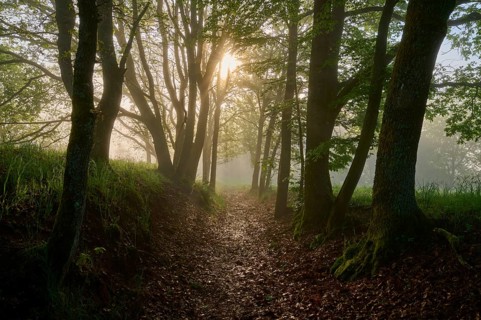 Hiking trail