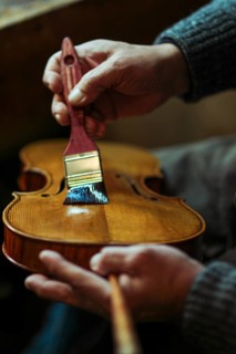 Senior expert violin maker luthier