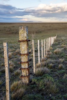 Pasture fence