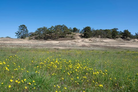 Inland dunes