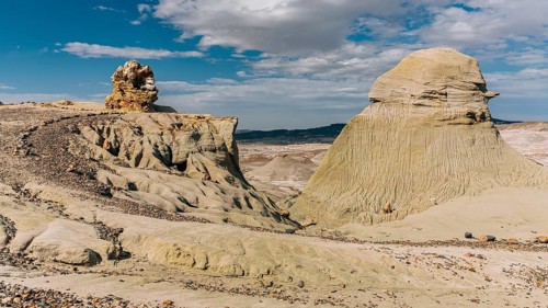 Petrified Forest Sarmiento