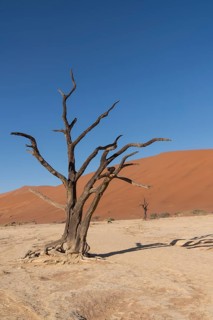 Dunes in Deadvlei