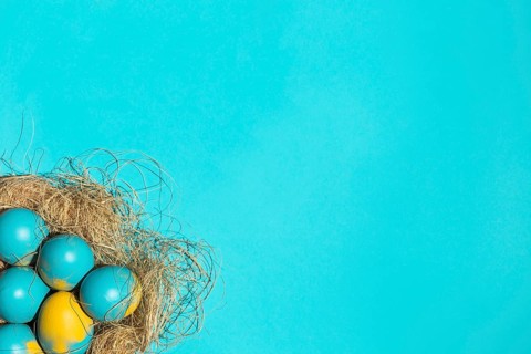 Colourful easter eggs big nest blue table