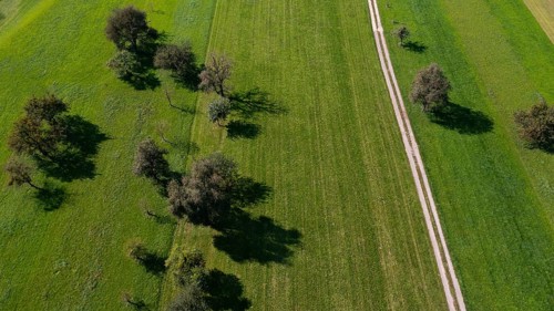 Drone view