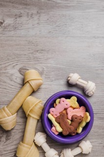 Bowl with dog snacks floor