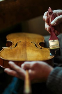 Senior expert violin maker luthier
