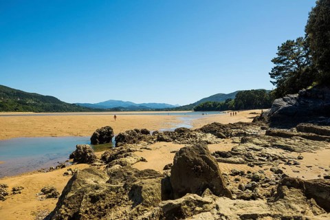 Beach and coast