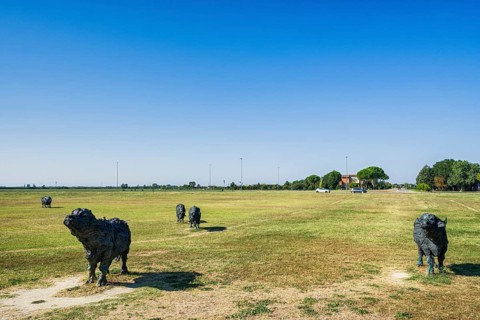 Buffalo sculptures in Parco Papa Giovanni