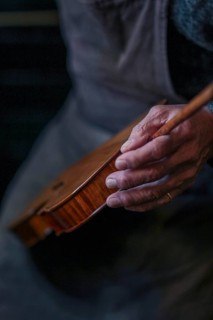 Senior expert violin maker luthier wear apron hold classic handmade violin paint natural ingredient recipe in Cremona Italy home of best artisan of this kind
