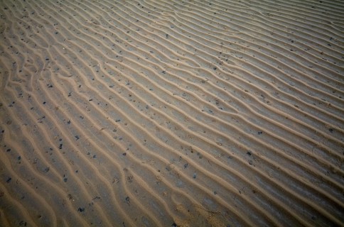Sand ripples
