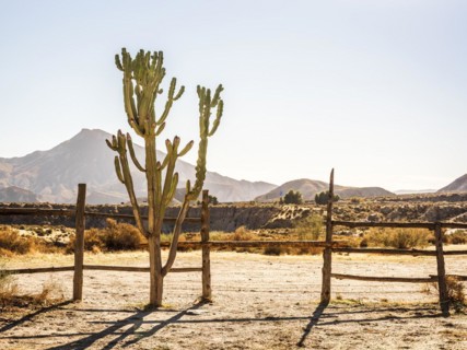 Great view of Tabernas desert