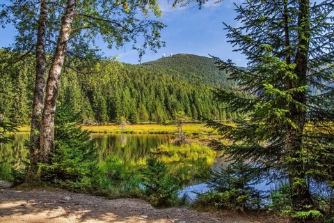 Nature reserve Kleiner Arbersee with floating islands and Grosser Arber 1456m