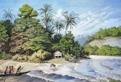 Harbour and beach in New Guinea