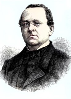 Anton Sommer