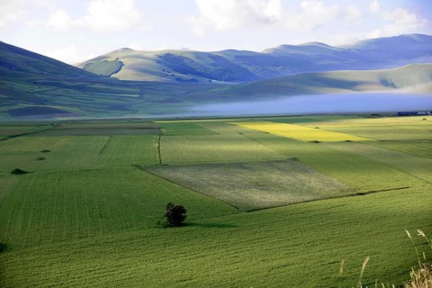 Piano Grande plain