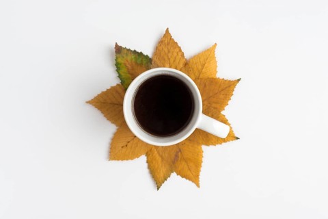 Arrangement with cup autumn leaves