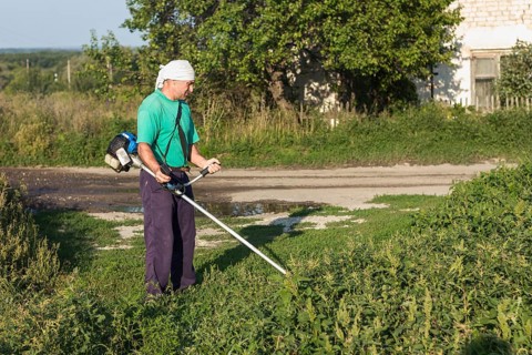 Man farm sewing grass with lawn mower