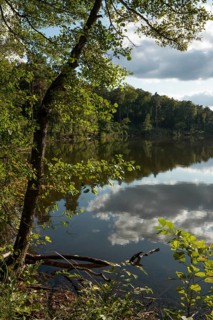 View of a lake in the forest. Germany
