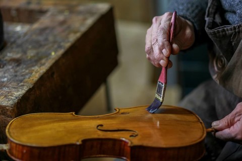 Senior expert violin maker luthier