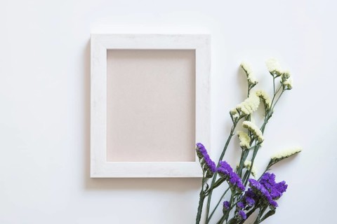 Frame wildflowers spring