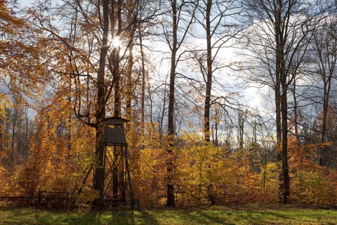 A hunting hide at the edge of a deciduous forest in autumnal colours. Germany