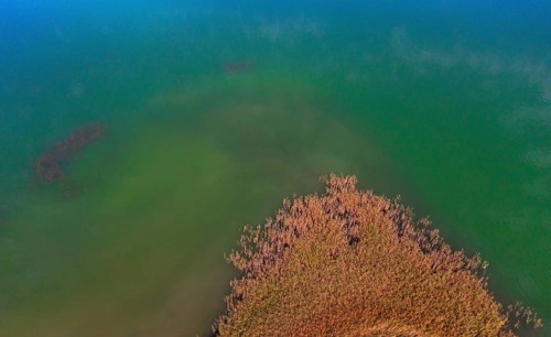 Drone image