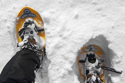 Close up of walker wearing snowshoes on feet while snowshoeing in deep powder snow in winter