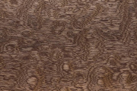 Wood grain of Sapele