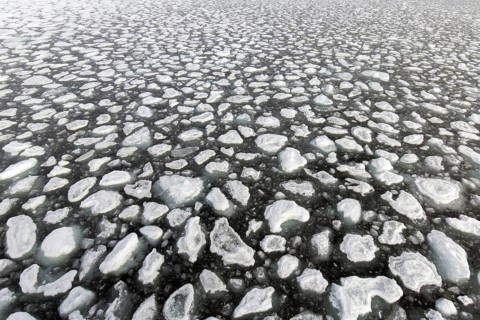 Drift ice