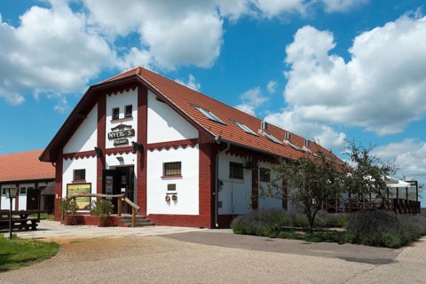 Mata Stud Farm