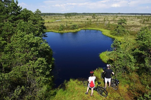 Cyclists on the Aukstumala Cognitive Path