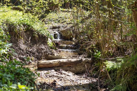 Small brook
