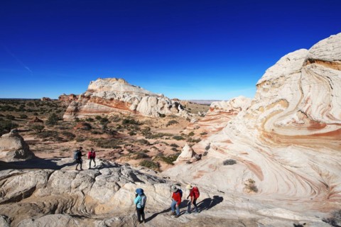 Hiker in White Pocket Canyon