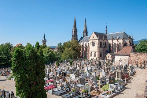 View of the church of St Peter and Paul