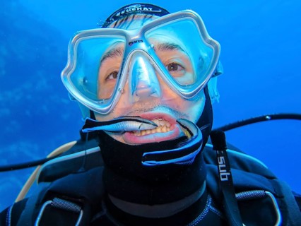 Curious picture: Cleaner fish cleans diver's teeth