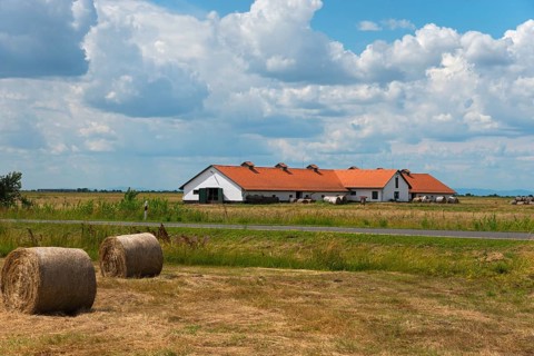 Farmstead
