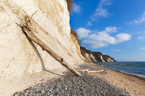 Eroded white chalk cliffs and driftwood on pebble beach in Jasmund National Park on Rugen Island in the Baltic Sea