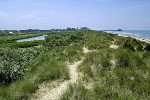 Nature reserve De Fonteintjes in the dunes between Blankenberge and Zeebrugge along the North Sea coast