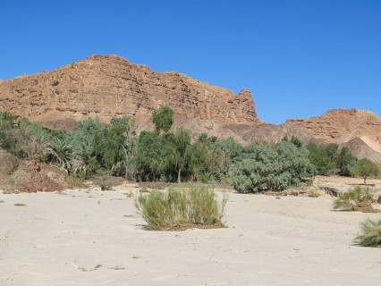 Ein Hudra Oasis